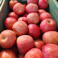 국내산 상품 A급 사과 대과 2kg내외 8-9과